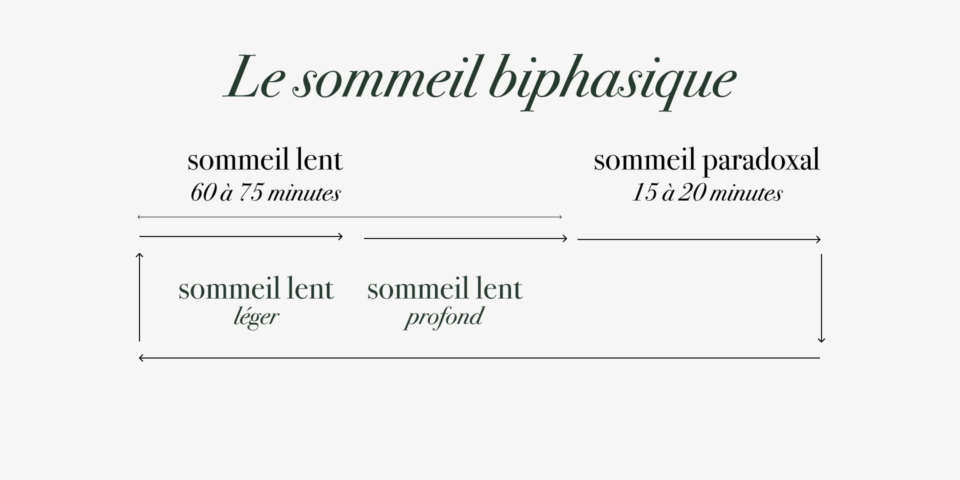 Étapes du sommeil : lent profond > paradoxal > léger