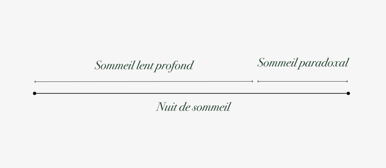 Graphique sur les cycles du sommeil et la récupération physique et mentale