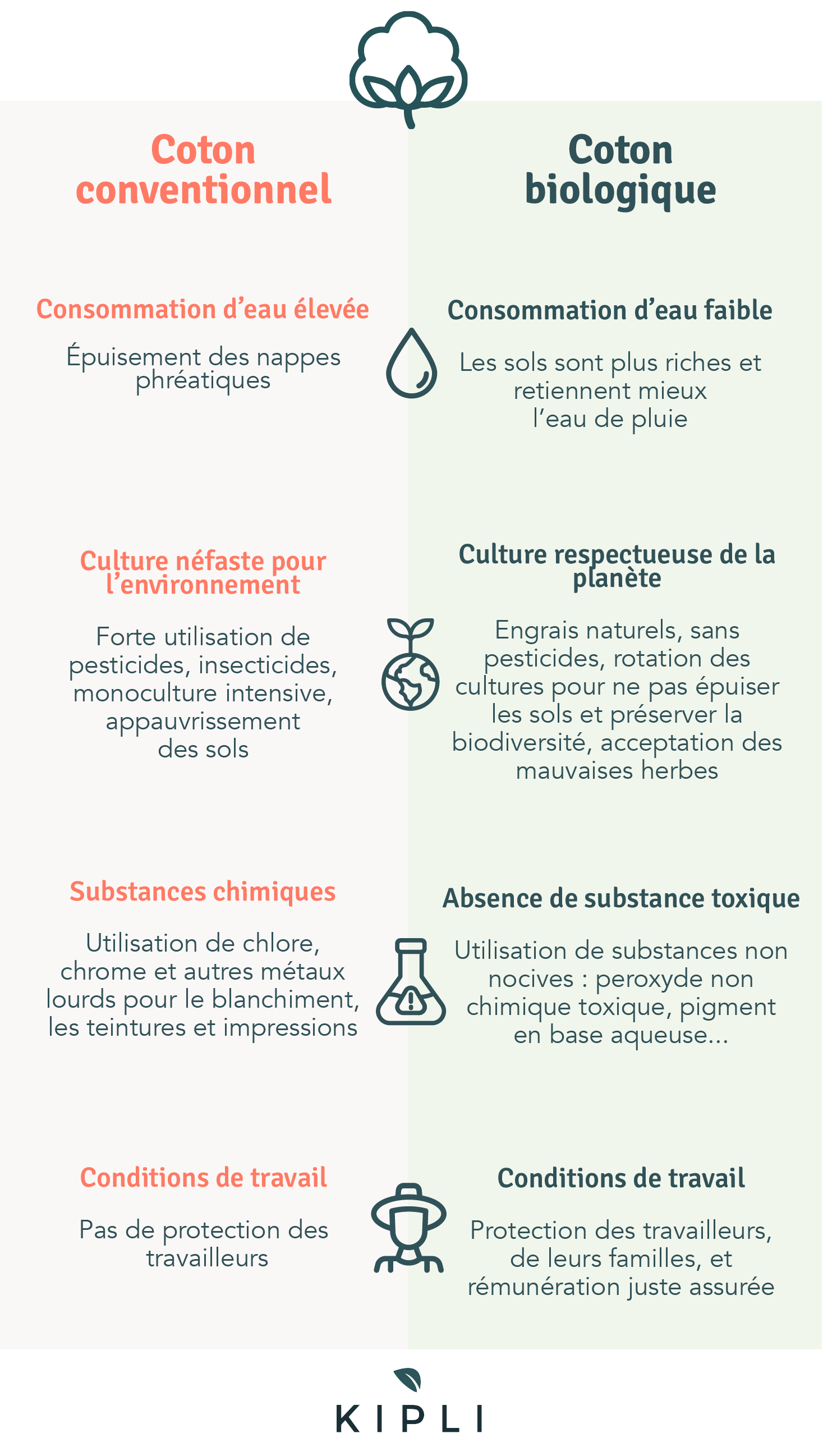 Infographie comparant coton conventionnel et coton biologique