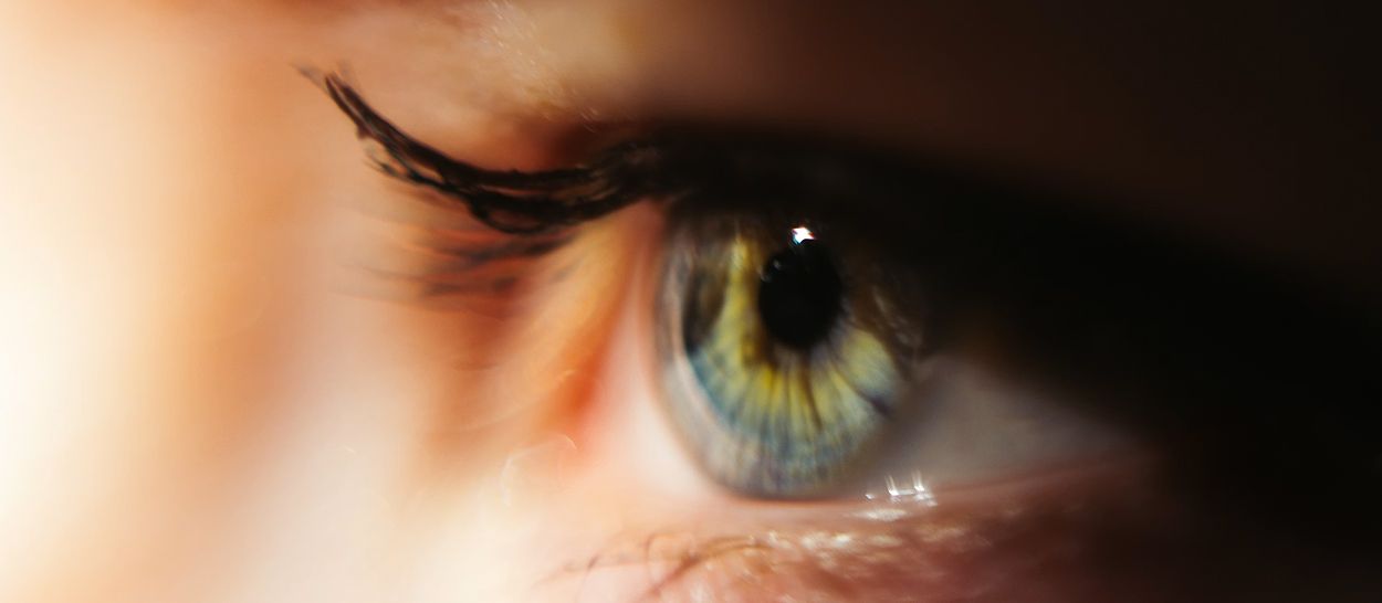 Gros plan oeil iris montrant rétine responsable perception lumineuse et horloge circadienne