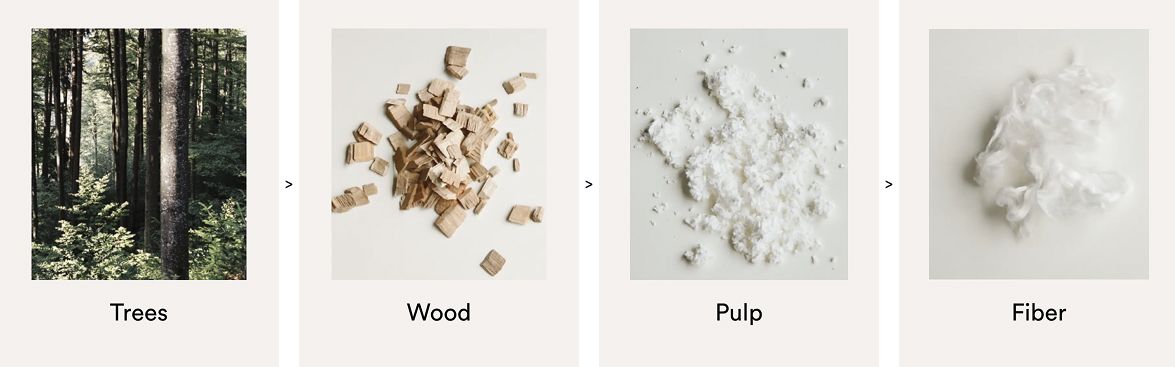 Les quatre étapes de fabrication du Tencel : arbres, copeaux de bois, pulpe et fibre textile