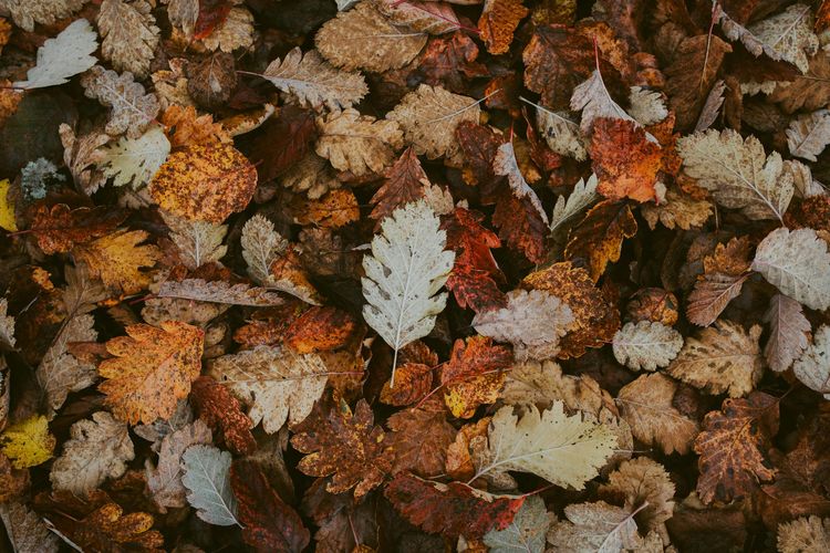 Pourquoi le changement de saison perturbe notre sommeil ?