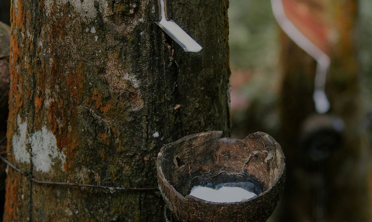 Les bienfaits du latex naturel sur la qualité du sommeil