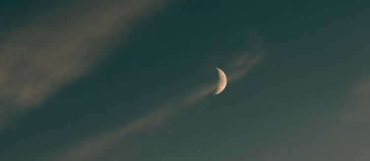 Jours longs et nuits courtes : ce que l'été fait vraiment à notre horloge biologique