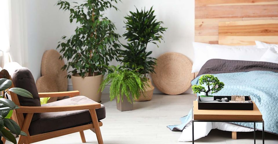 Qu'est-ce qu'un lit zen et comment bien le choisir ?