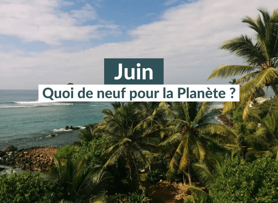 5 news écolo du mois de Juin