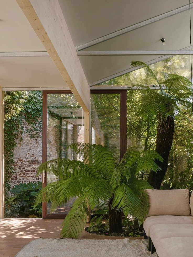 Jardin intérieur : comment intégrer la nature chez soi, même en ville ?
