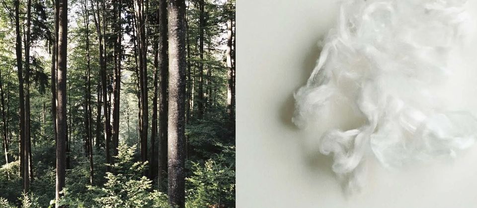 Le Tencel : cette fibre naturelle méconnue de votre couette